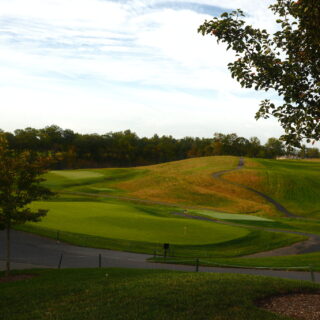 Thumbnail Gallery Image 13