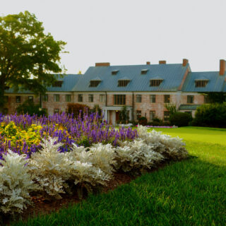 Thumbnail Gallery Image 4